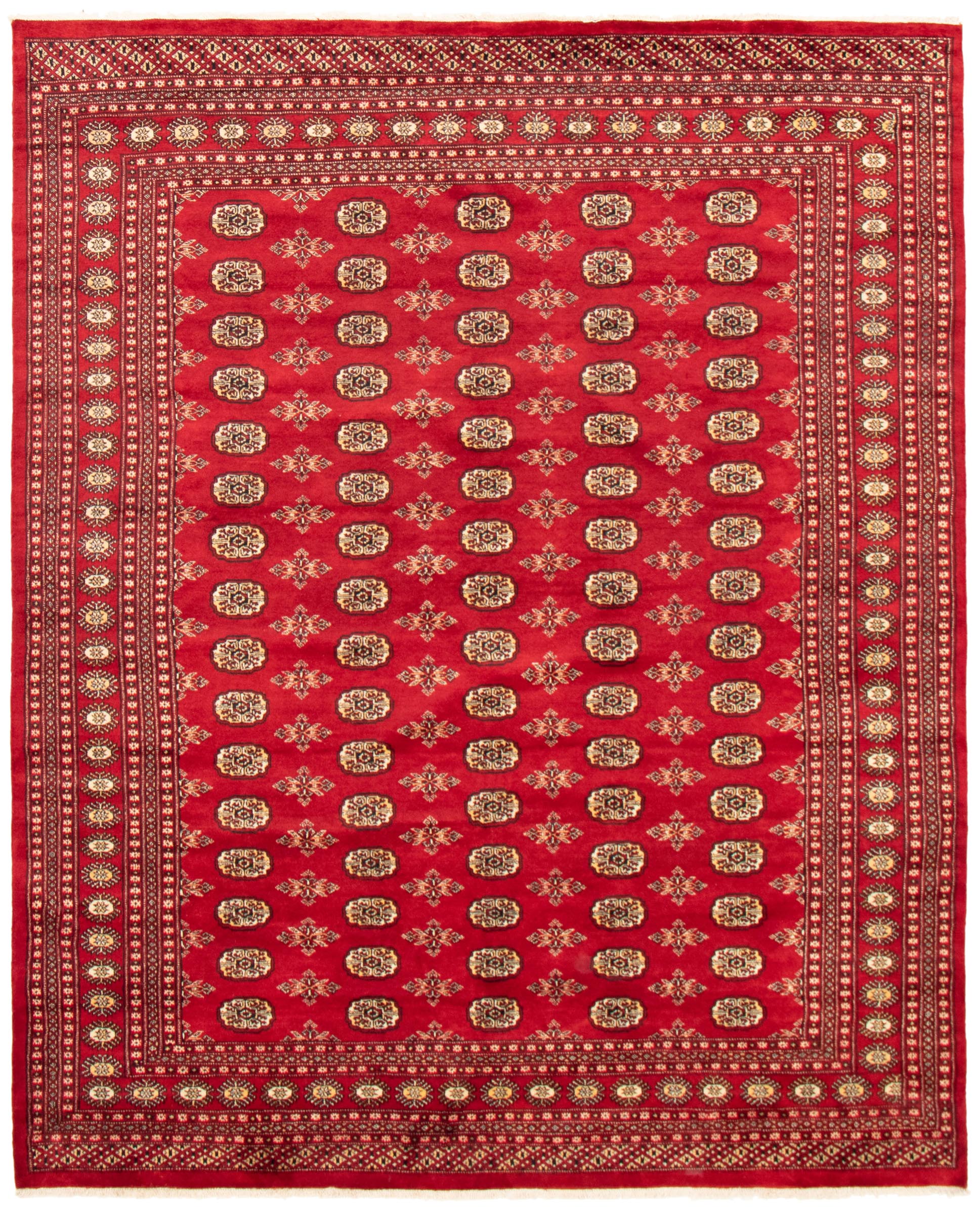 Traditional Hand Knotted Oriental Area Rug 8’1″ x 10’0″ Wool Carpet