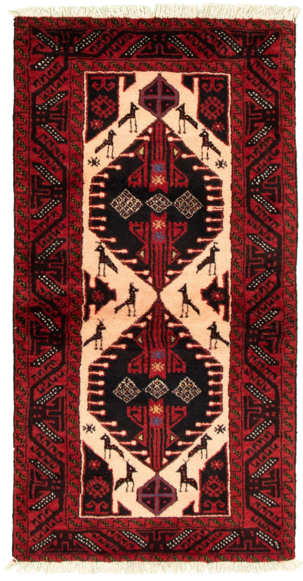 Afghan Teimani 3'1