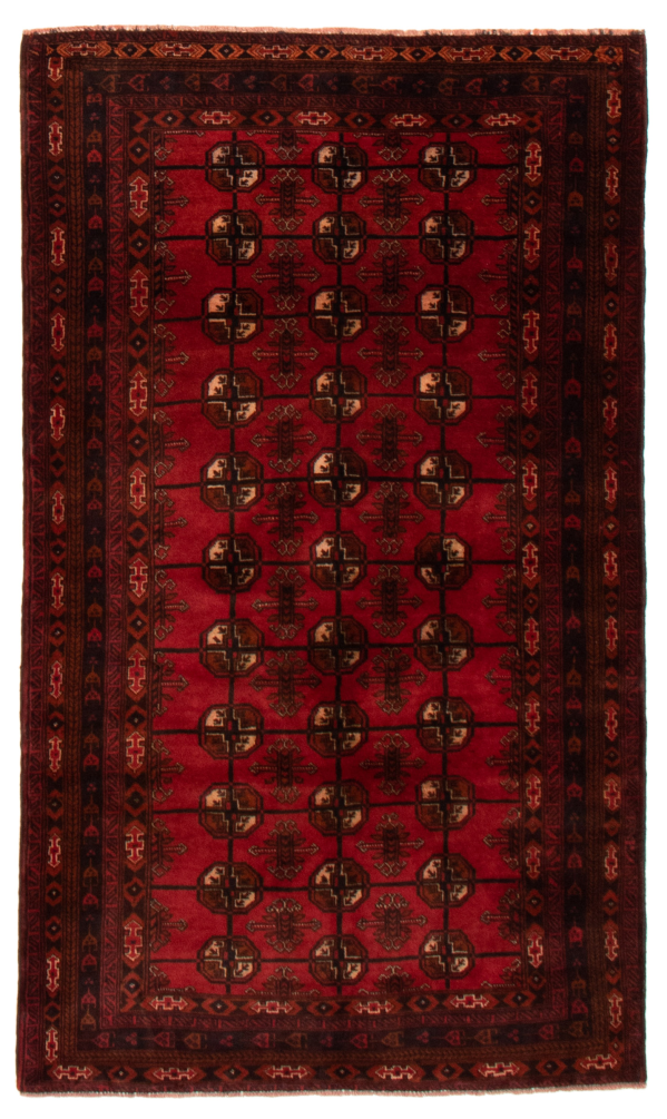 Afghan Teimani 3'11