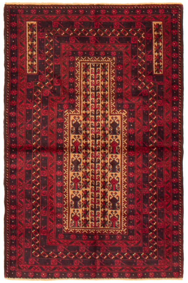 Afghan Teimani 3'1