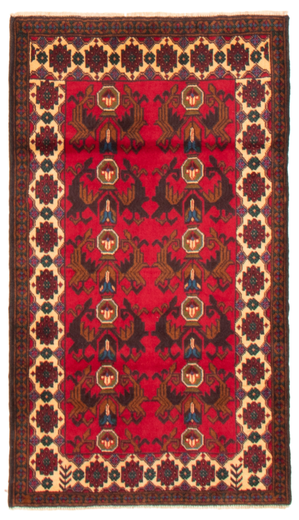 Afghan Teimani 3'0