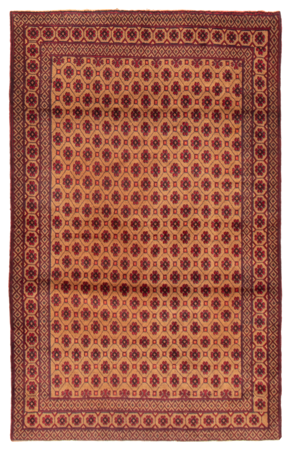 Afghan Teimani 3'11