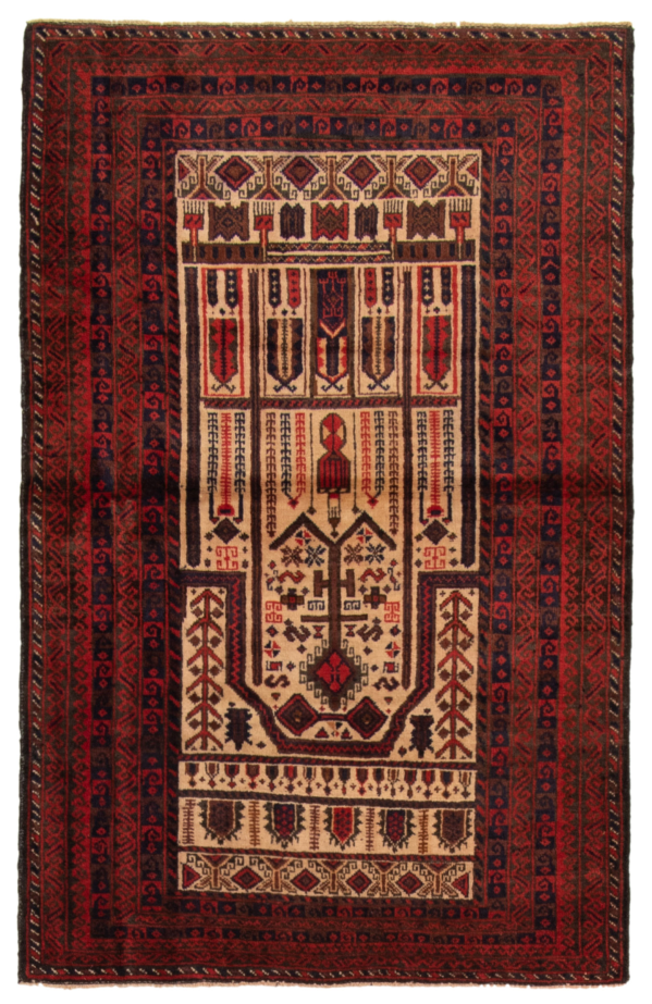 Afghan Teimani 3'1