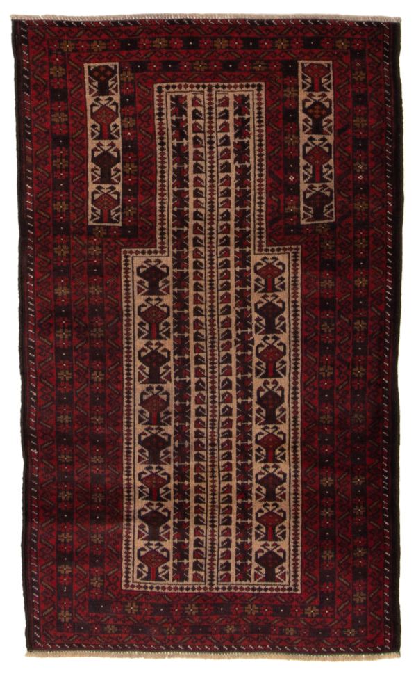 Afghan Teimani 2'8