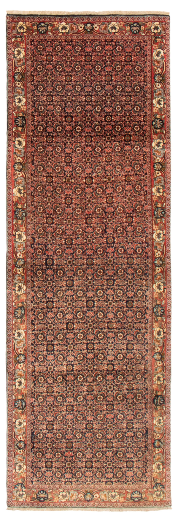 Persian Bijar 2'11