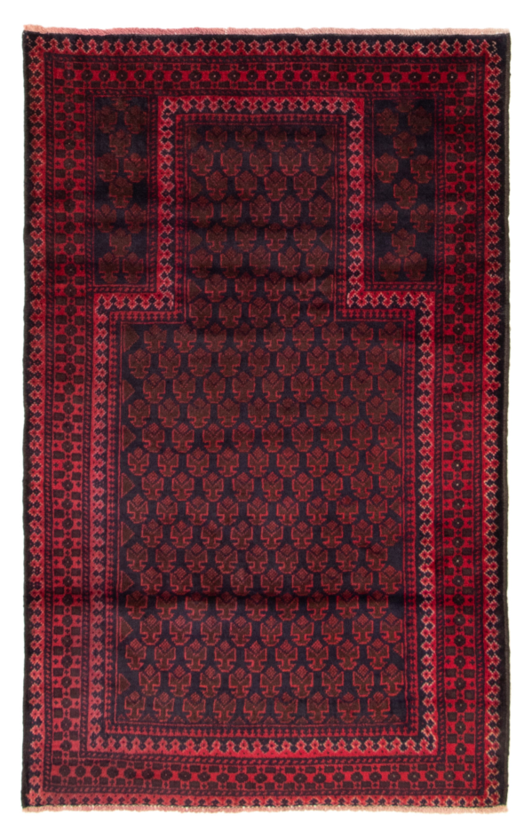 Afghan Teimani 2'10