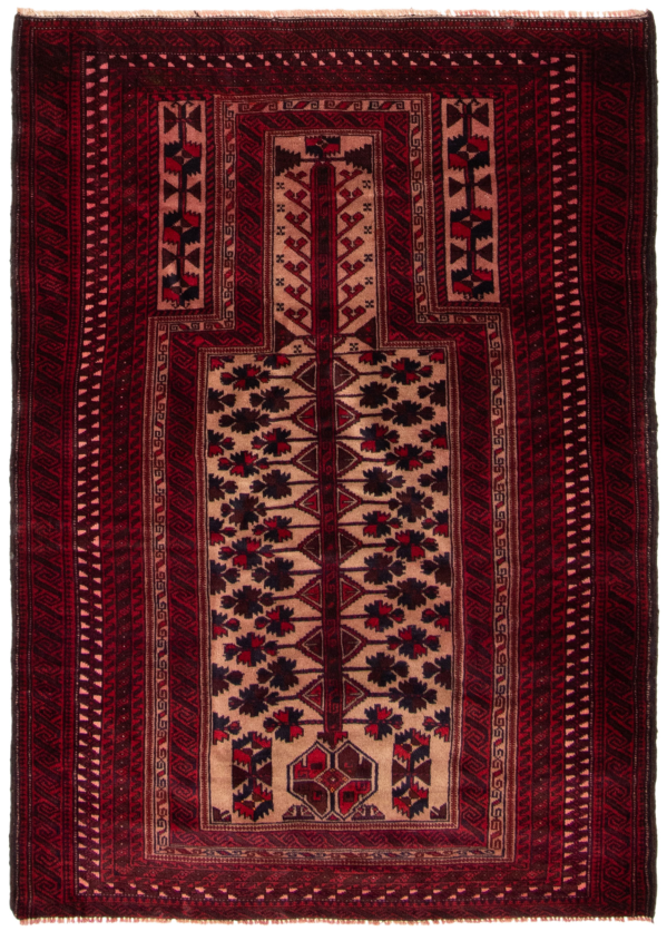 Afghan Teimani 3'3