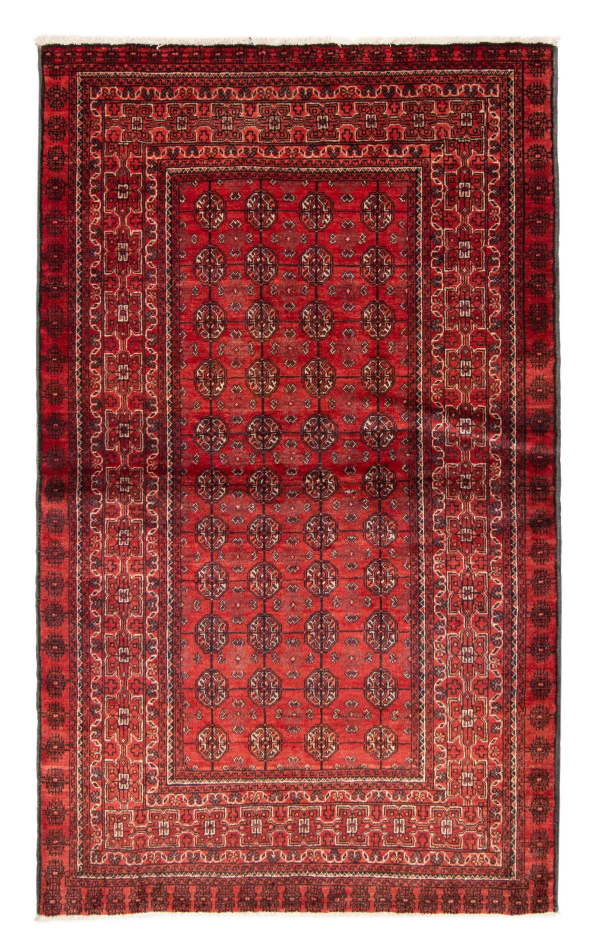 Afghan Royal Baluch 4'1