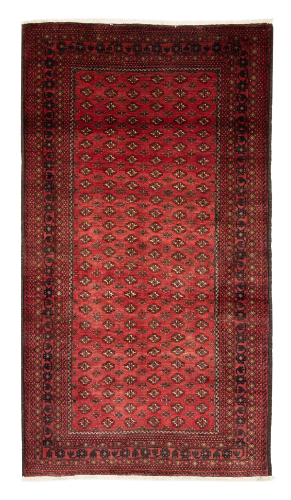 Afghan Royal Baluch 4'8