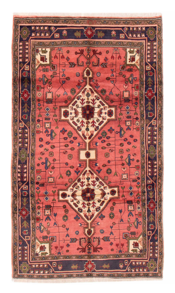 Persian Koliai 4'11