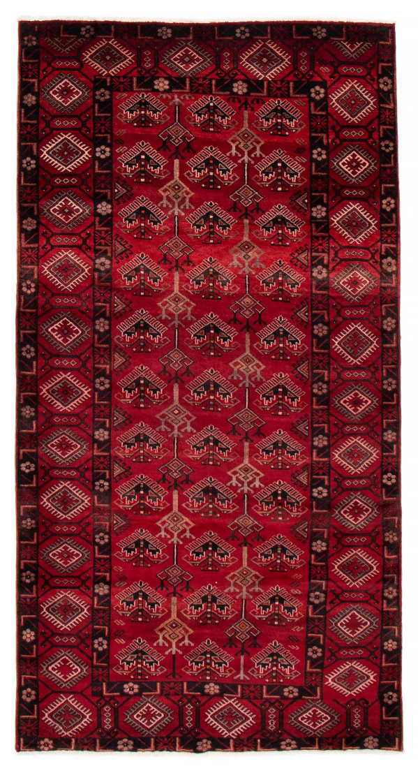 Afghan Royal Baluch 4'11