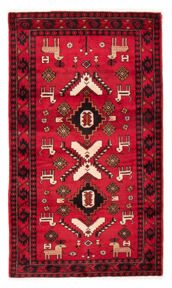 Afghan Royal Baluch 4'3