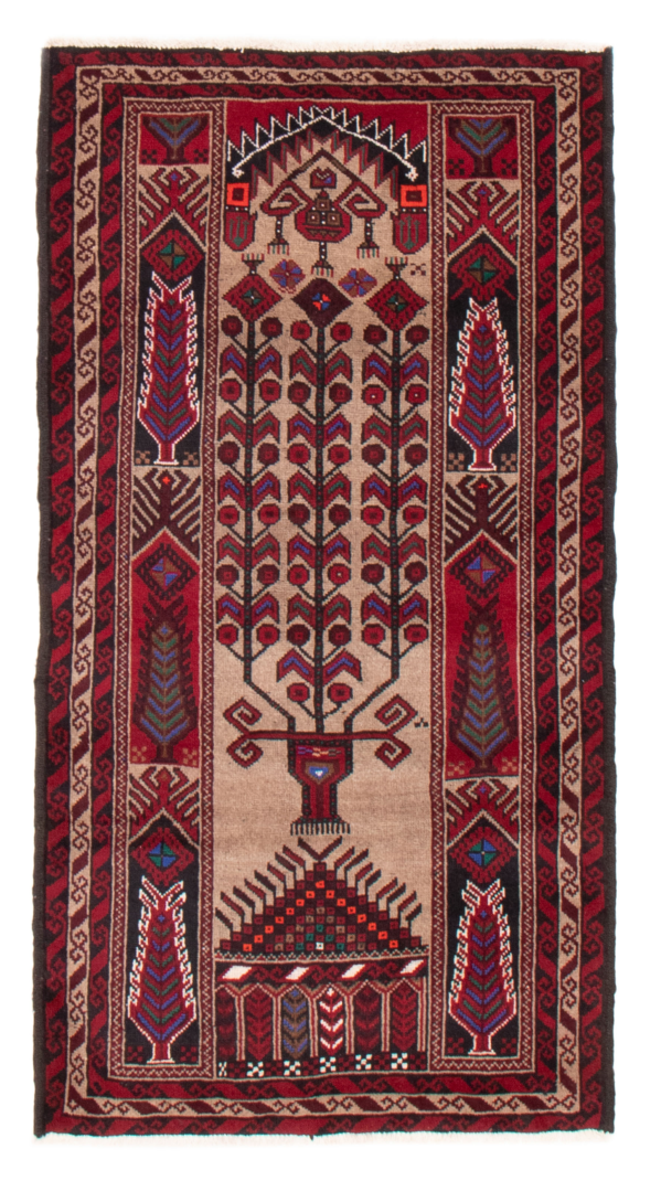 Afghan Royal Baluch 3'3