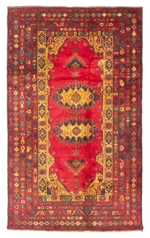 Afghan Teimani 3'10