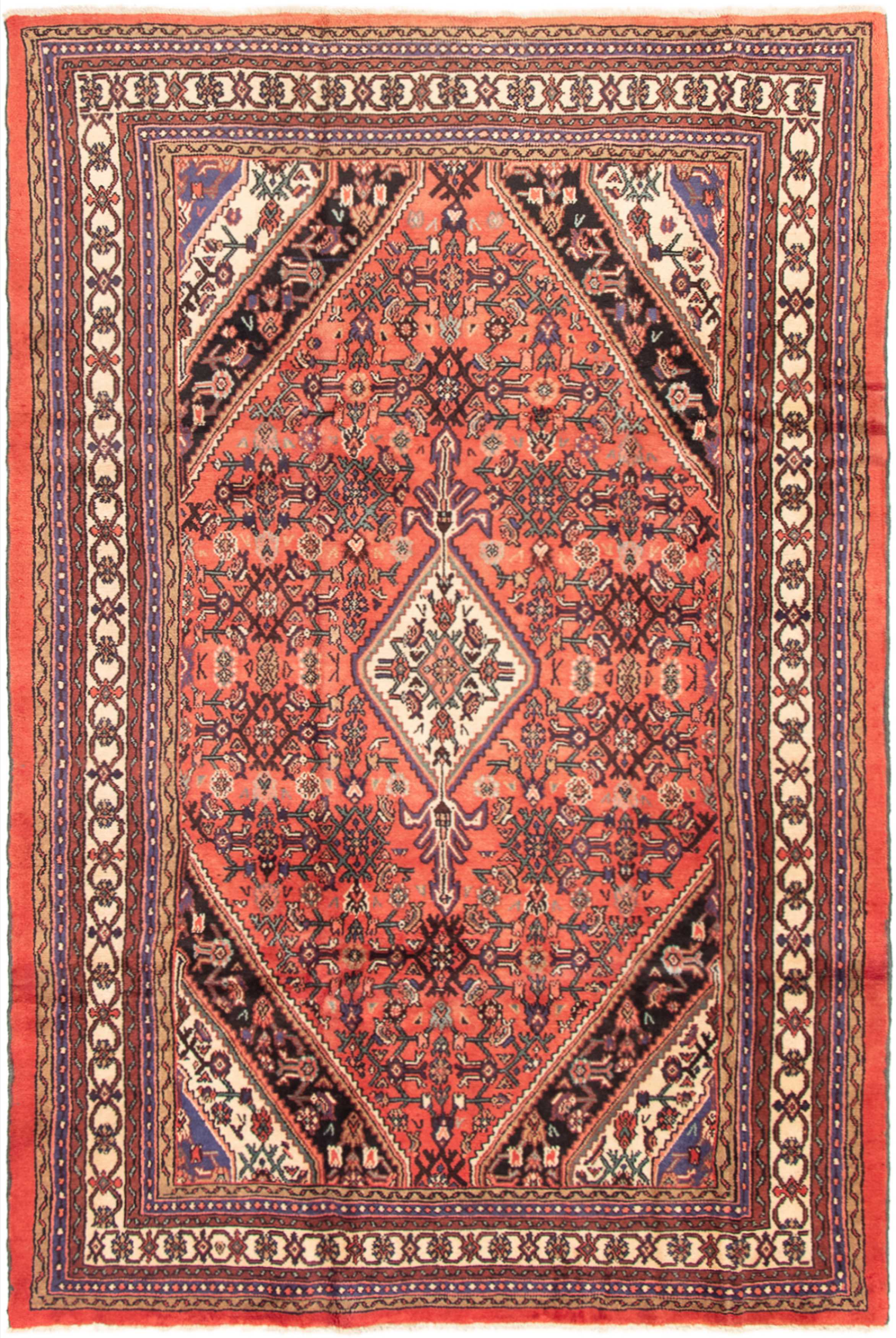 Persian Hamadan 6'9" x 10'2" Hand-knotted Wool Rug 