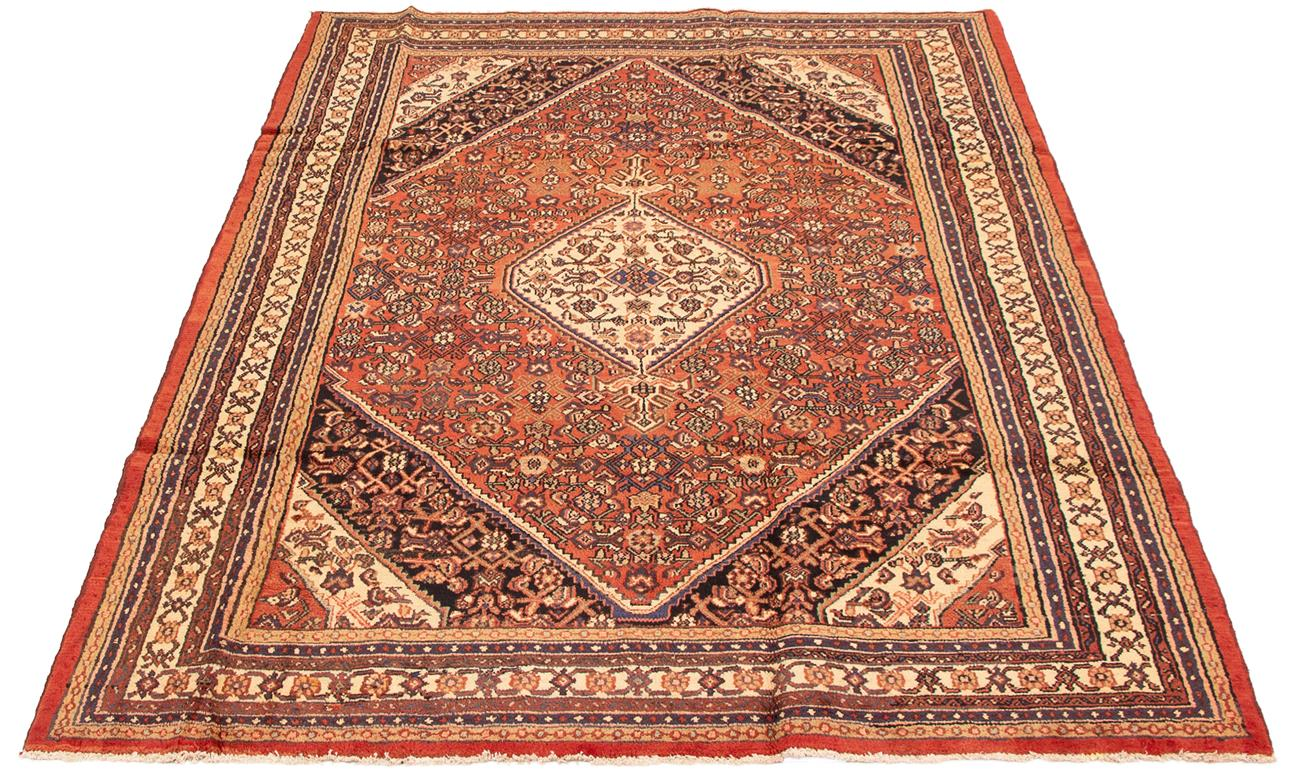 Persian Hamadan 6'11" x 9'10" Hand-knotted Wool Rug 