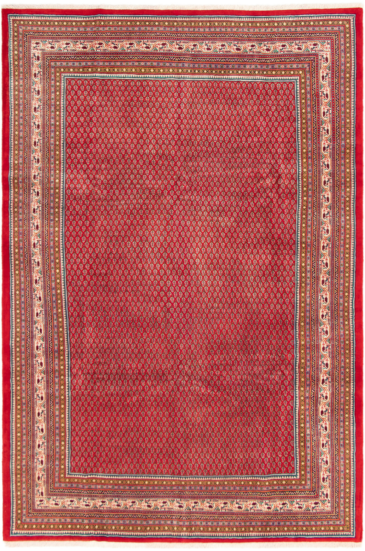 Tapis arak 8'0" x 12'0" en laine