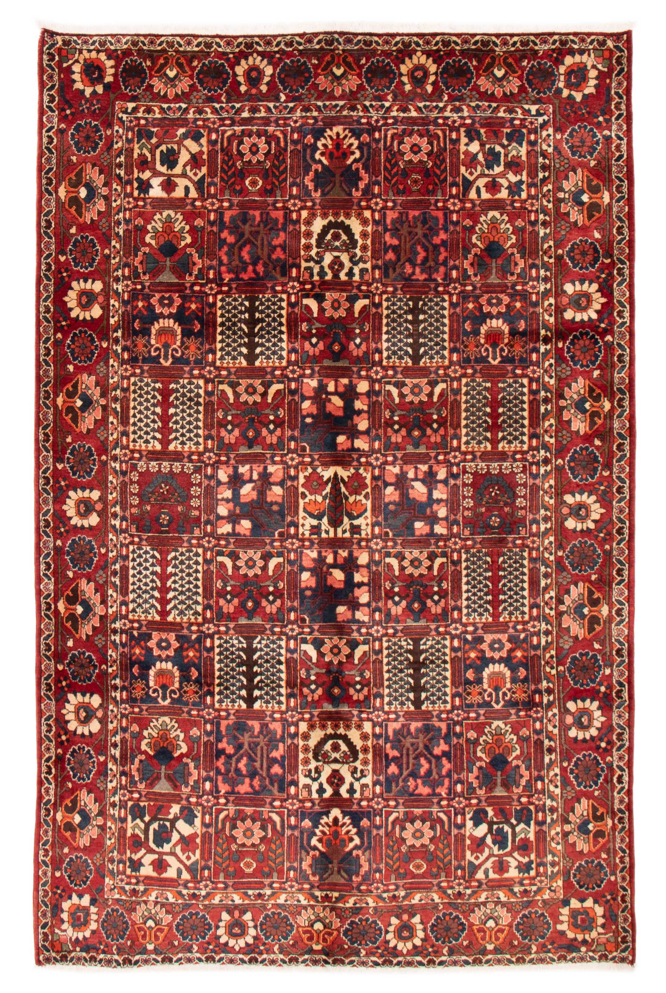 Tapis bakhtiari 6'9" x 10'2" en laine