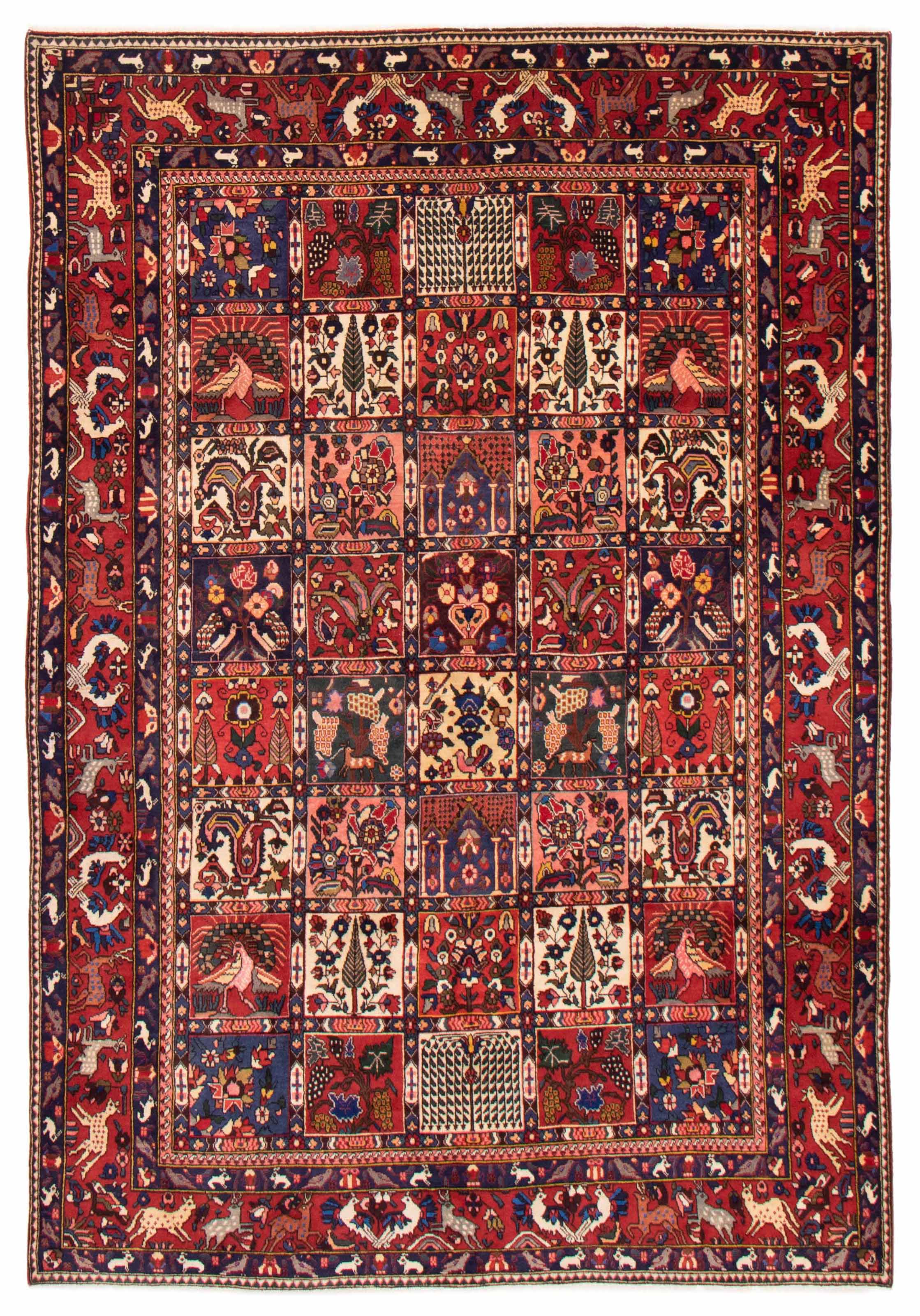 Tapis bakhtiari 6'7" x 9'10" en laine
