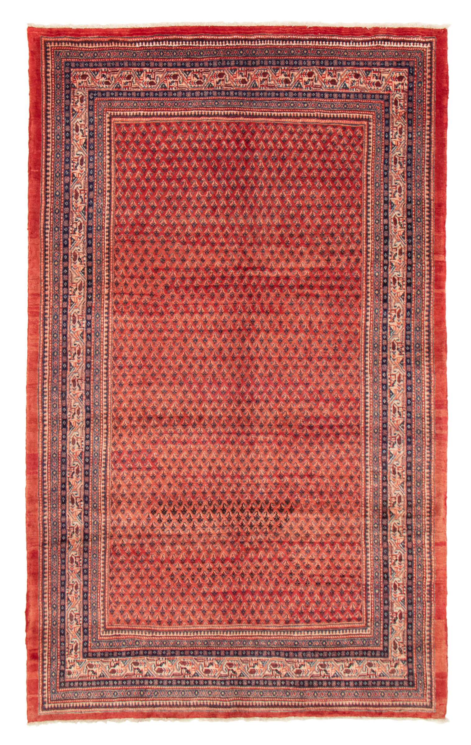 Tapis arak 6'5" x 10'2" en laine