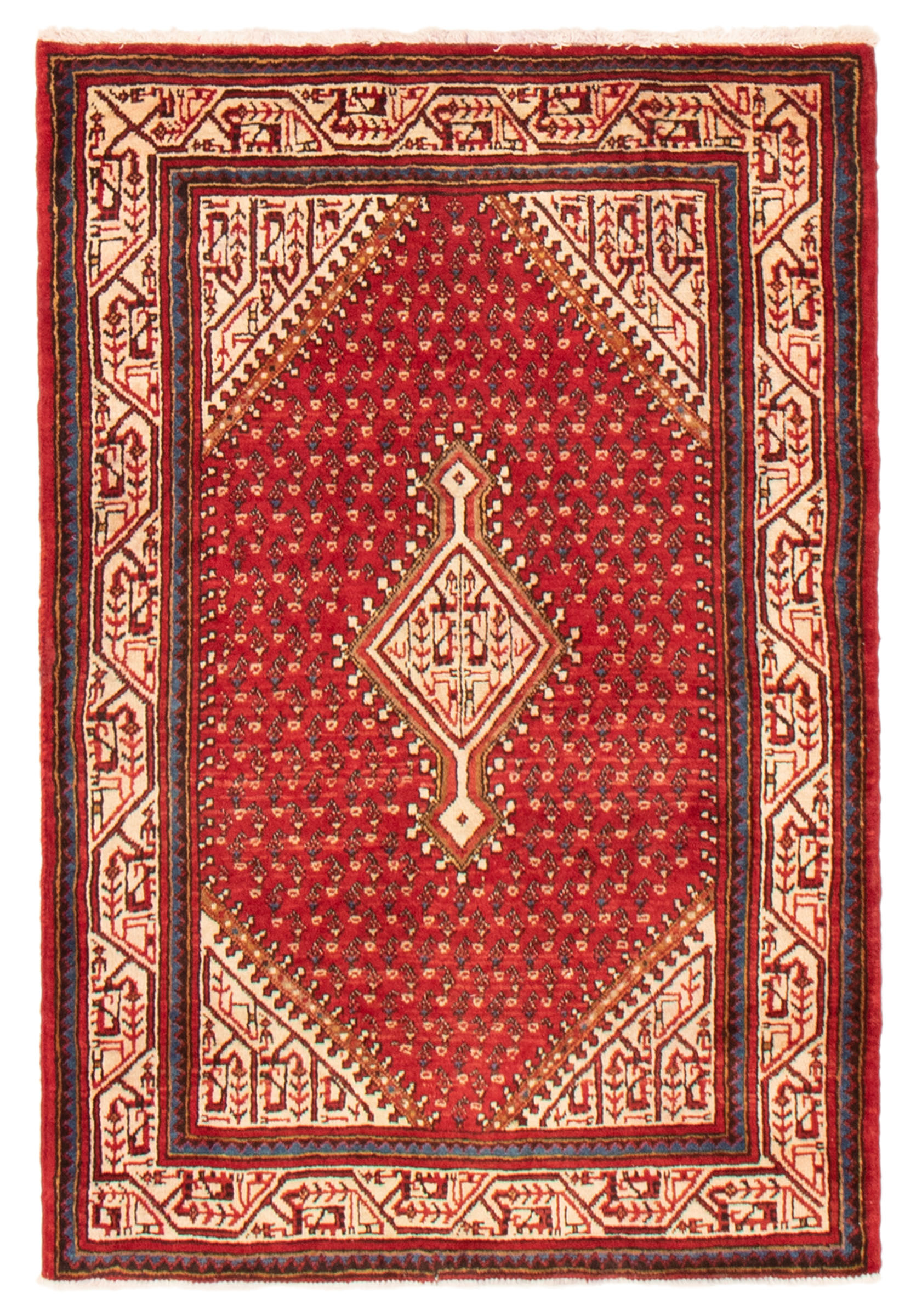Tapis arak 3'4" x 5'1" en laine