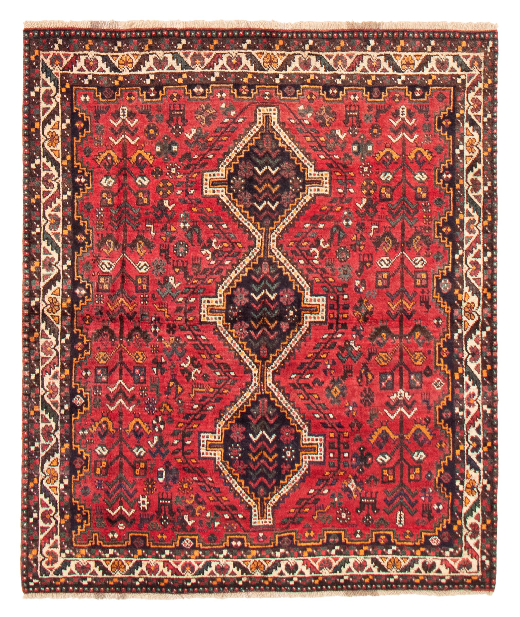 Persian Shiraz Qashqai 4'6