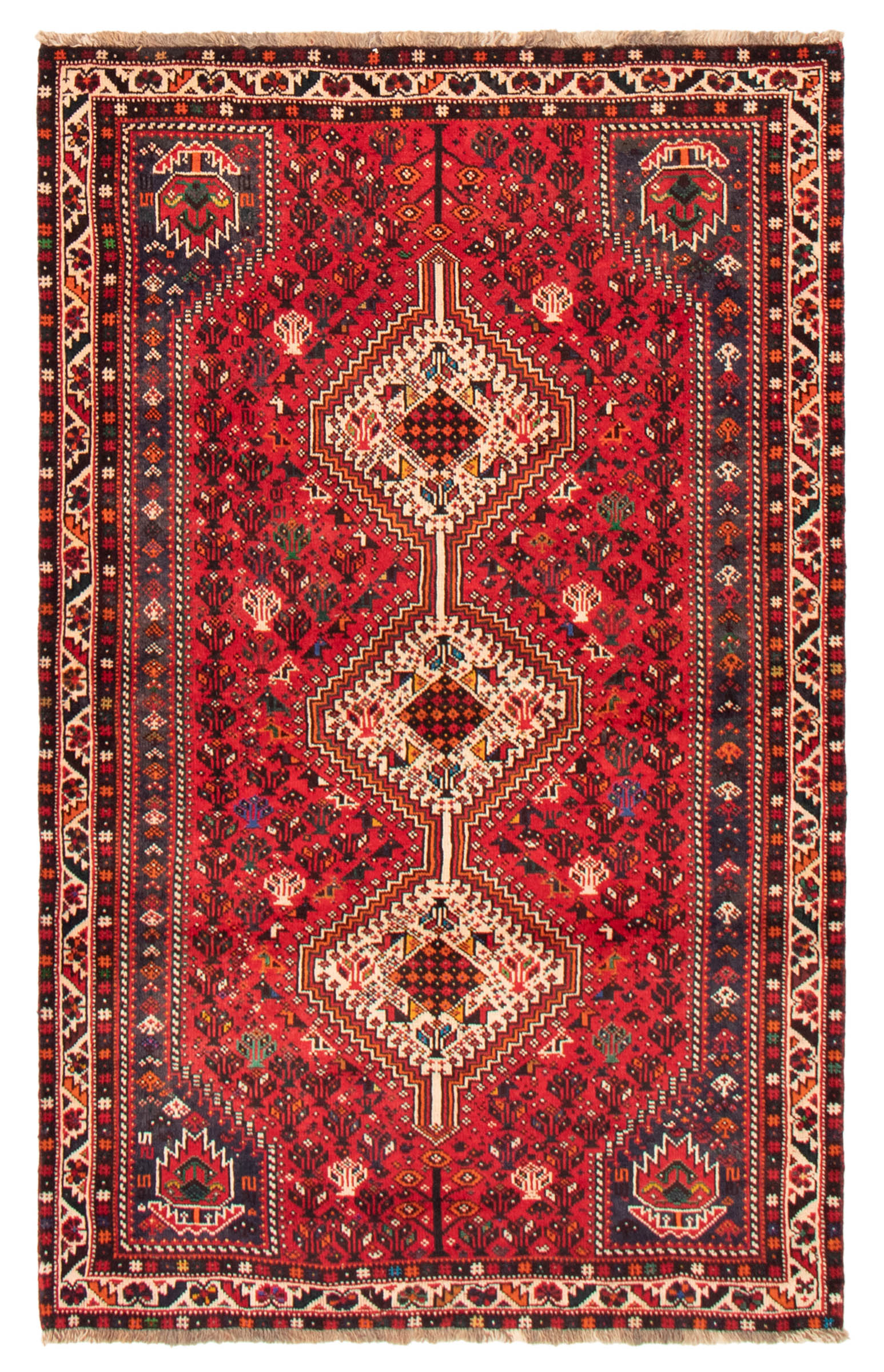 Persian Shiraz Qashqai 6'10