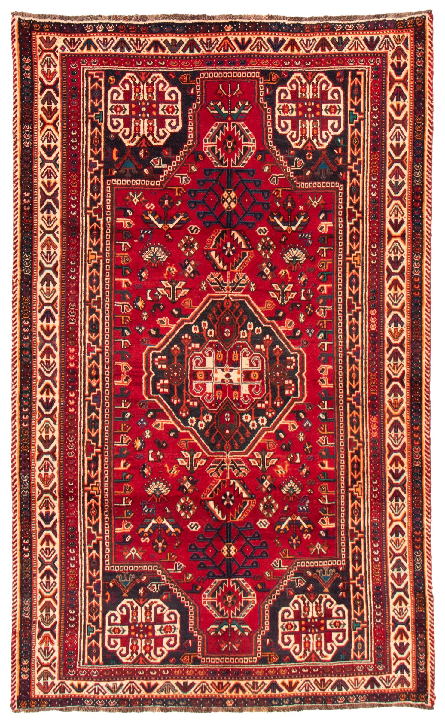 Persian Shiraz Qashqai 5'5