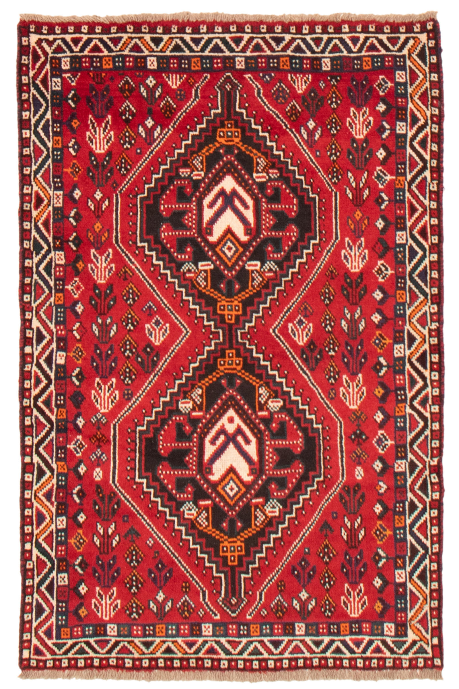 Persian Shiraz Qashqai 6'10