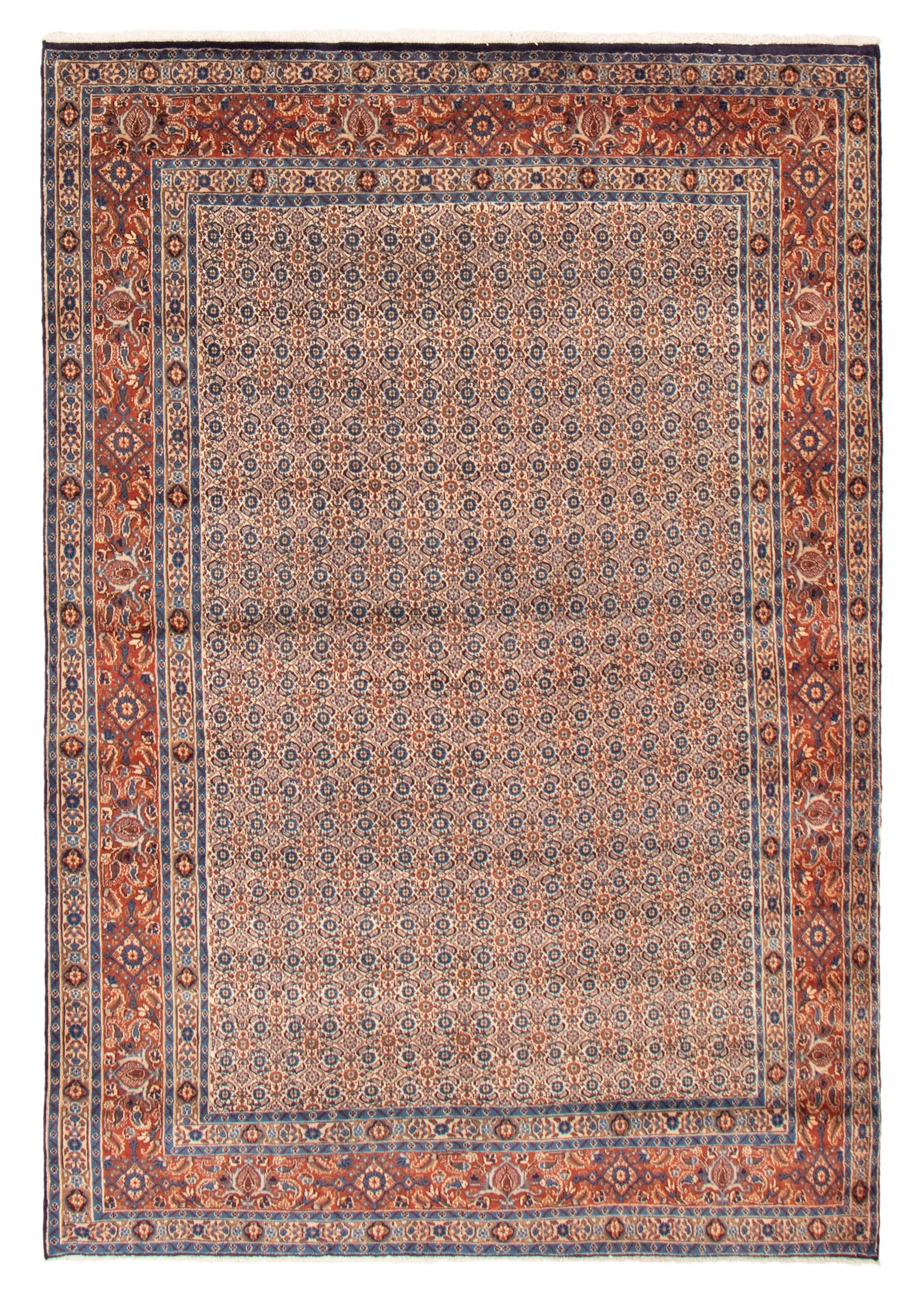 Persian Mood Birjand 6'5" x 9'6" Hand-knotted Wool Rug 
