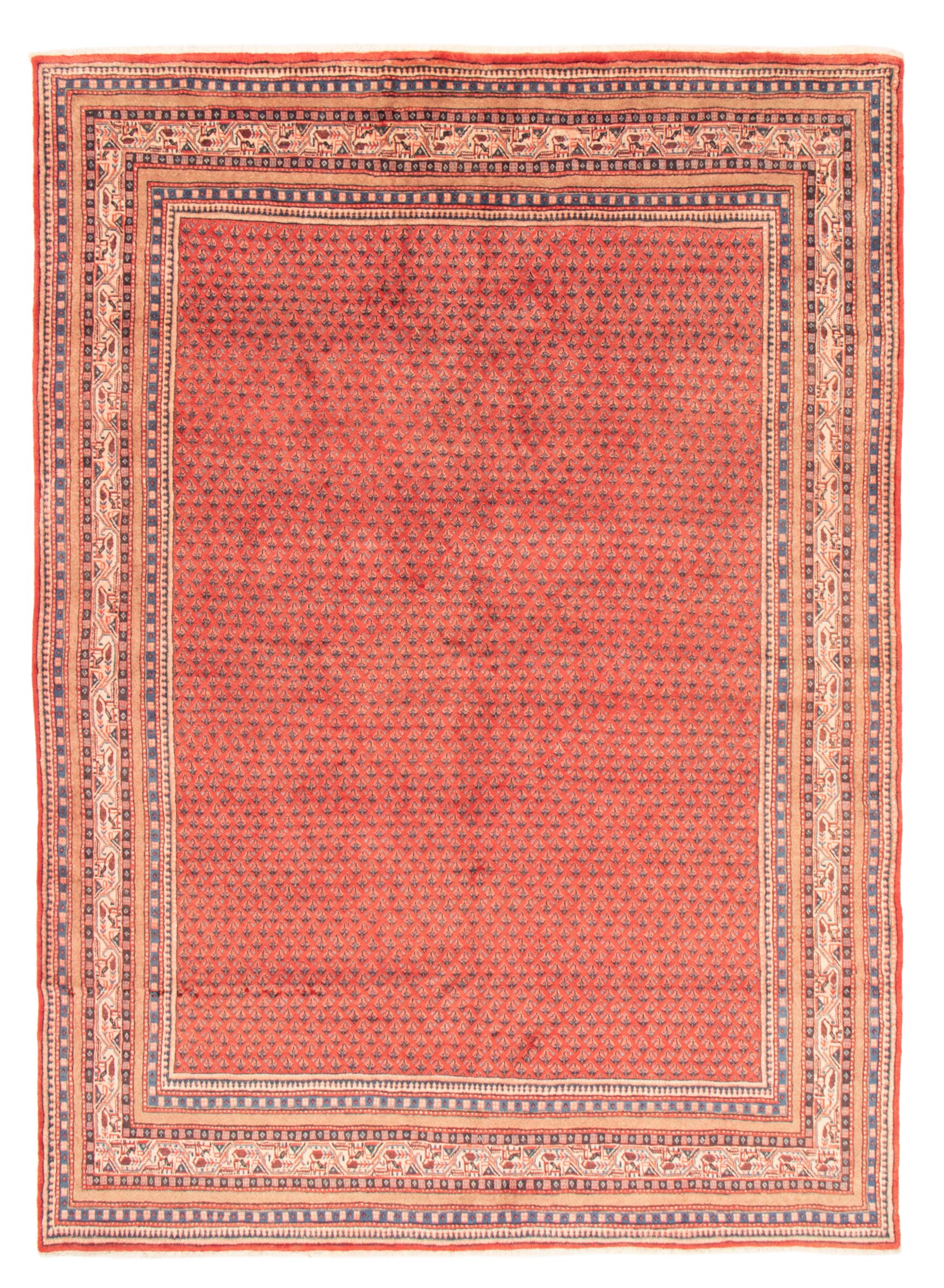Tapis arak 7'9" x 11'2" en laine