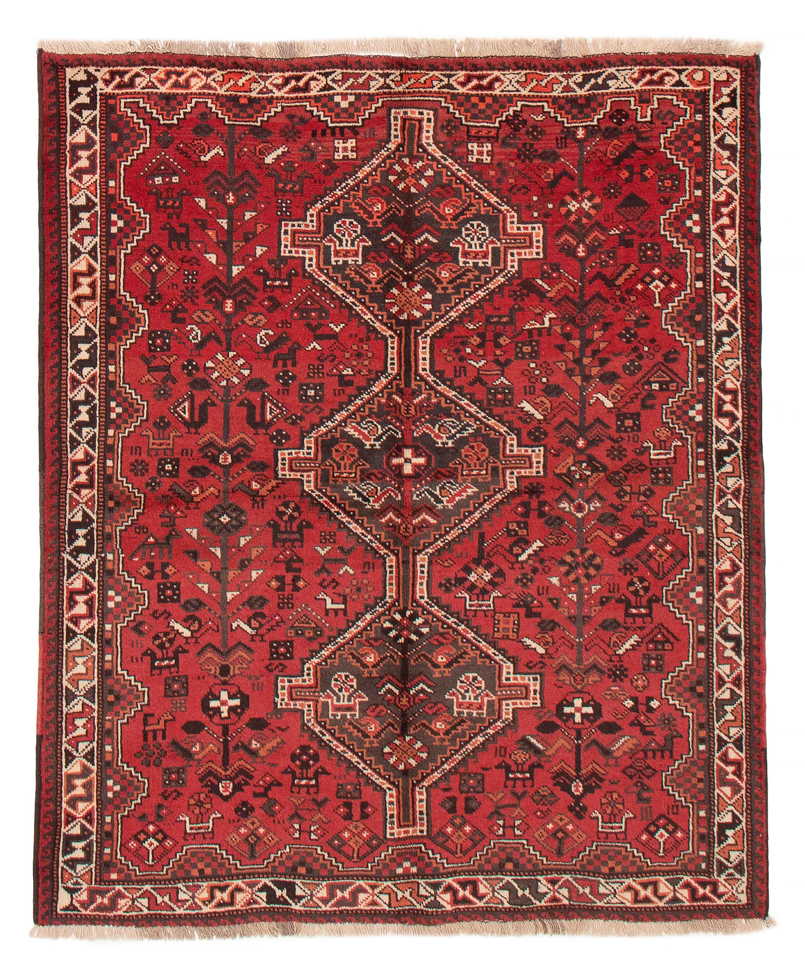 Persian Shiraz Qashqai 5