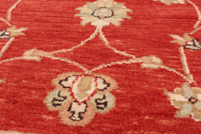 Indian Chobi Twisted 4'0" x 6'2" Hand-knotted Wool Rug 