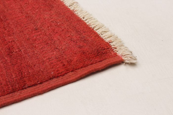 Indian Vibrance 8'2" x 10'3" Hand-knotted Wool Rug 