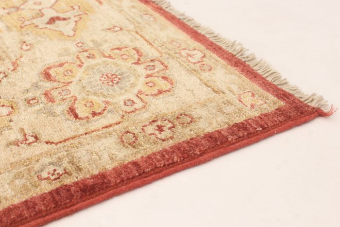 Pakistani Pako Persian 18 Of 20 6'6" x 9'10" Hand-knotted Wool Rug 