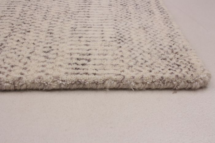 Indian Silk Shadow 4'0" x 6'0" Hand-knotted Viscose, Wool Rug 