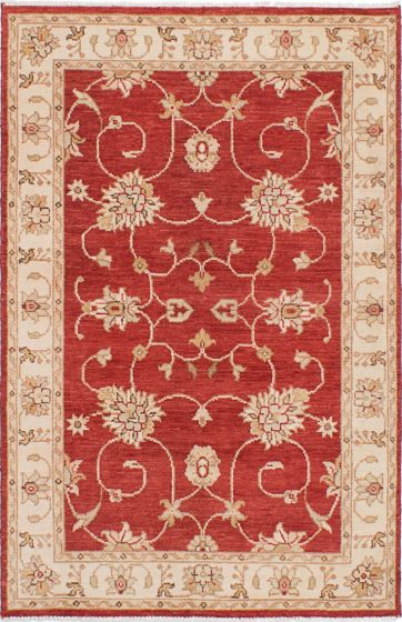 Indian Chubi Collection 4'0" x 6'0" Hand-knotted Wool Rug 