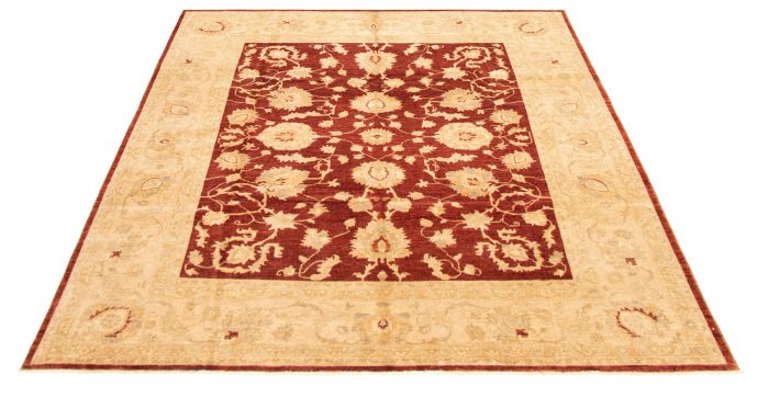 Afghan Chobi Finest 8'3" x 9'10" Hand-knotted Wool Rug 