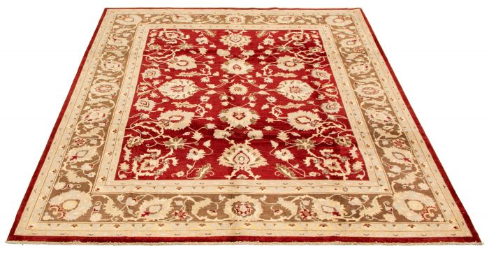 Afghan Chobi Finest 7'10" x 10'2" Hand-knotted Wool Rug 