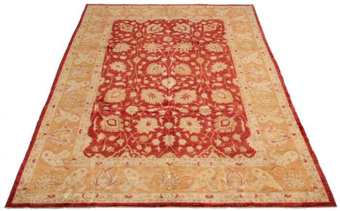 Afghan Chobi Finest 10'0" x 13'9" Hand-knotted Wool Rug 