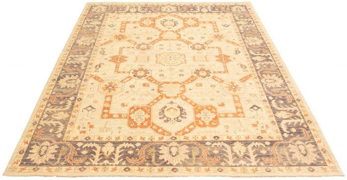 Pakistani Pako Persian 18 Of 20 8'10" x 11'6" Hand-knotted Wool Rug 