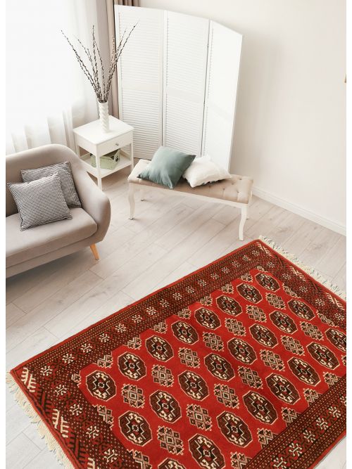 Turkmenistan Turkman 4'4" x 6'5" Hand-knotted Wool Rug 