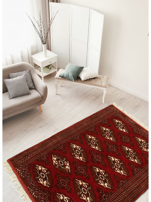 Turkmenistan Turkoman 3'4" x 4'10" Hand-knotted Wool Rug 