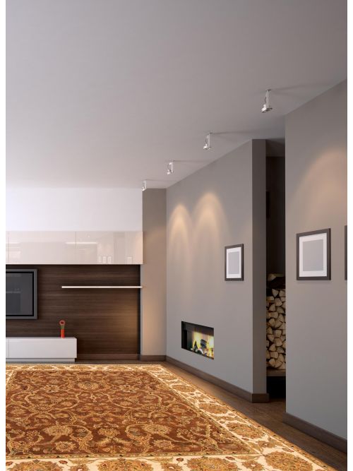 Indian Passions 8'1" x 10'4" Hand-knotted Wool Rug 