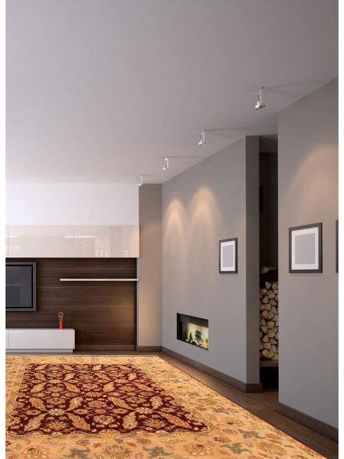 Indian Passions 8'0" x 10'1" Hand-knotted Wool Rug 