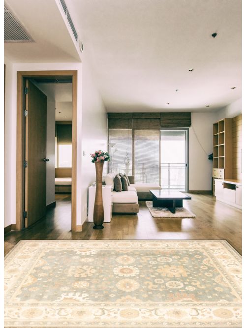 Indian Royal Oushak 13'9" x 18'0" Hand-knotted Wool Rug 