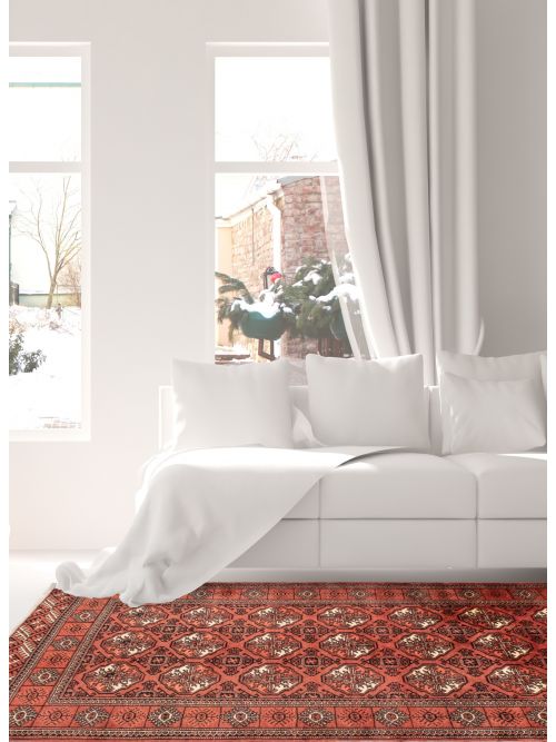 Turkmenistan Turkman 3'8" x 7'3" Hand-knotted Wool Rug 