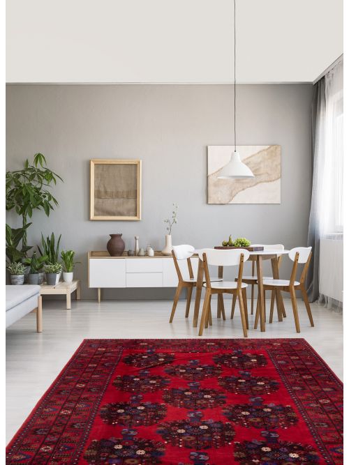Afghan Rizbaft 6'8" x 9'9" Hand-knotted Wool Rug 