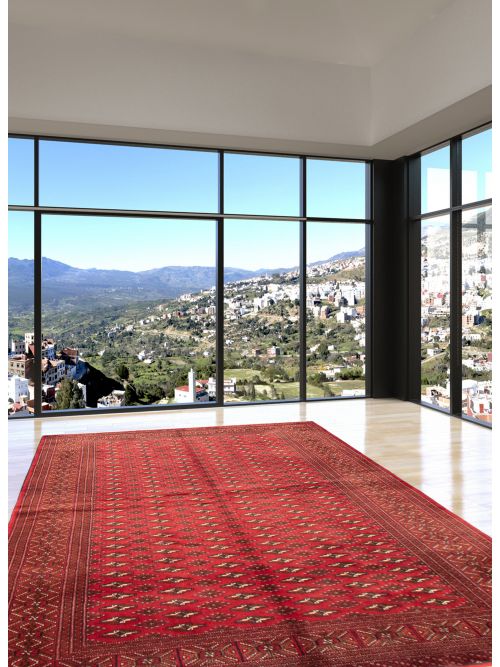 Turkmenistan Turkman 6'9" x 9'7" Hand-knotted Wool Rug 