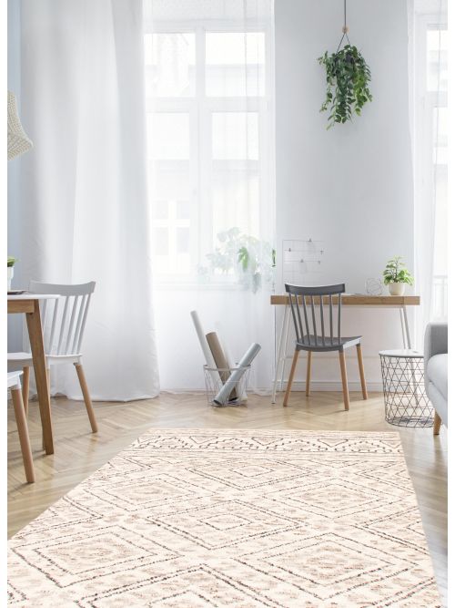 Indian Tangier 4'11" x 8'3" Hand-knotted Wool Rug 